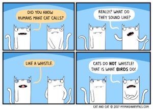 Cat-and-Cat-cat-call-168